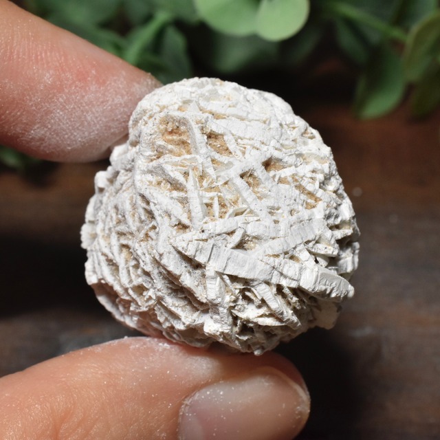 デザートローズ(ジプサムローズ) メキシコ産 DSR07