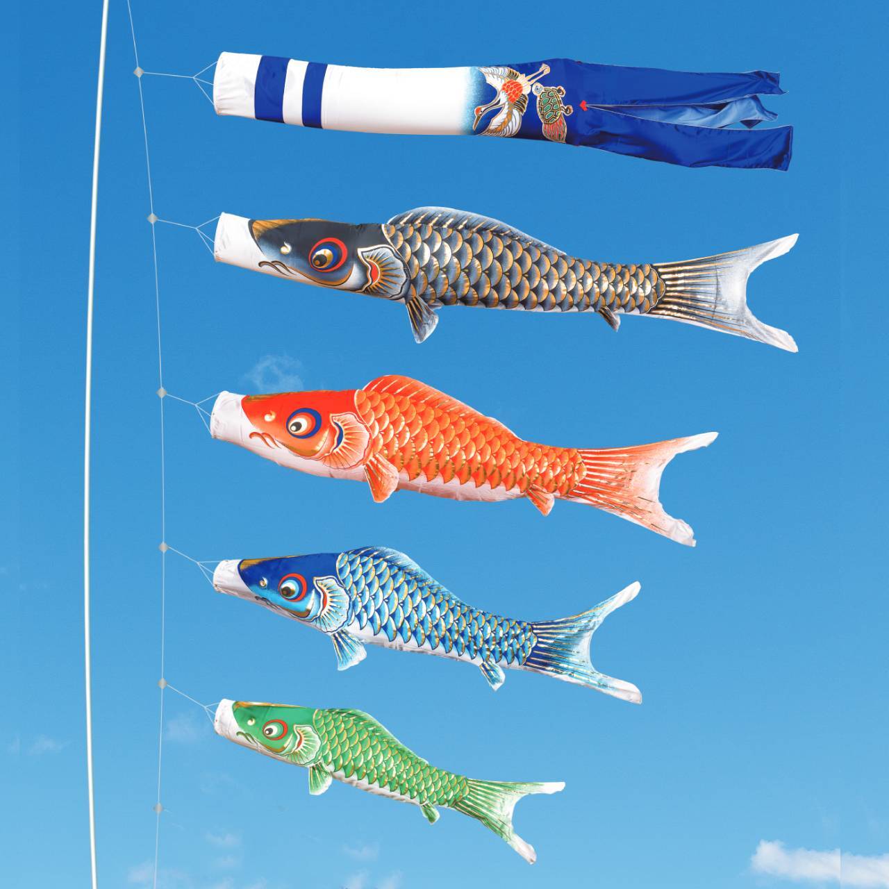 龍王誕生　4M６点セット　撥水付き（山下鯉のぼり）