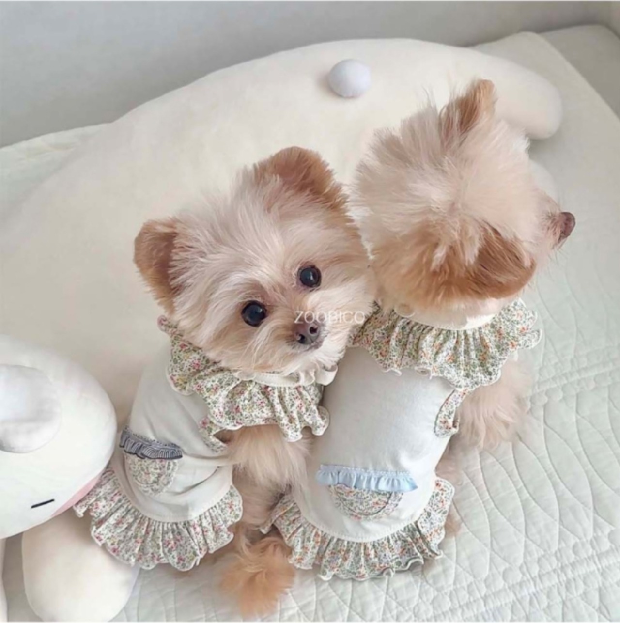 予約  【pecoramou select】Rave Dress + Cape SET（Brown）