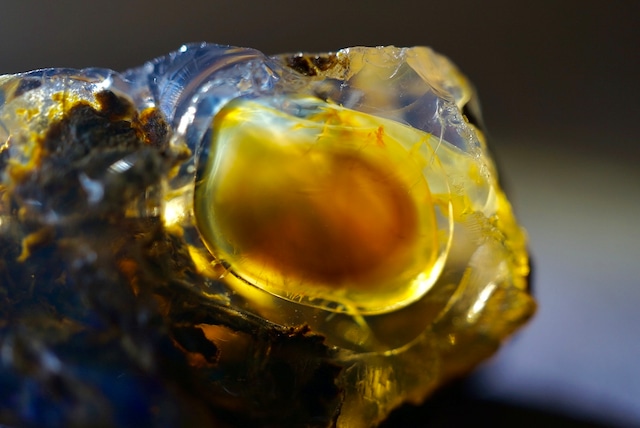 エッグ・イン・オパール Opal Egg 826