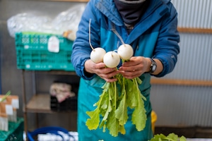 《隔週発送》FIO野菜-定期便 Lサイズ