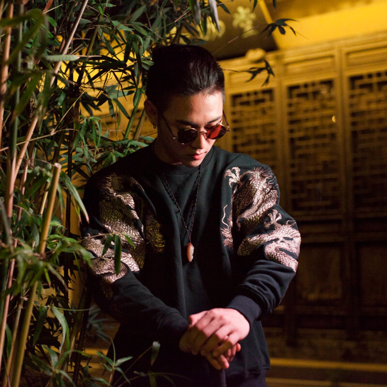 Dragon Embroidered Sweatshirt 2color【G1069】