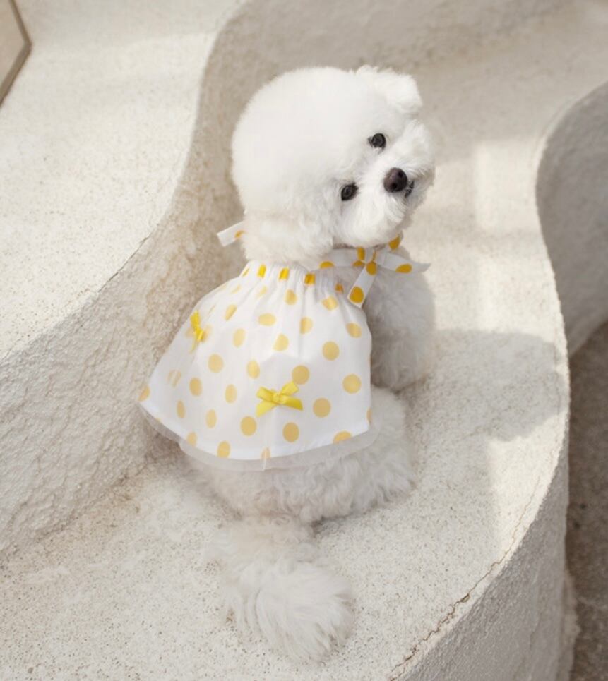 〖即納〗C0015 マカロンワンピース