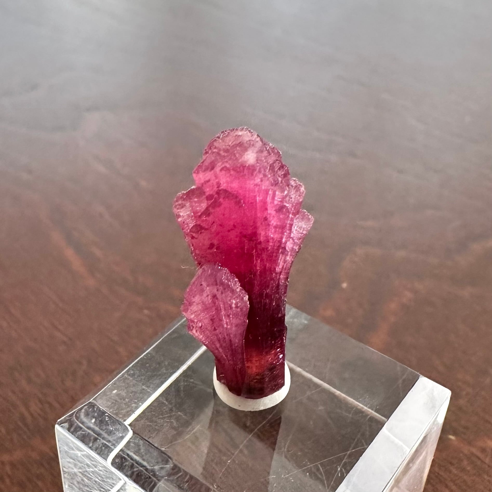 【国内入手出来ない 最高級標本】マゼンダレッド ルベライト ドゥルージー共生原石 ルベライト 【Rubellite】モロッコ産 | PEANUTS MINERALS
