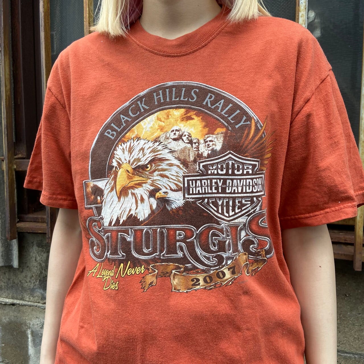 00年代 USA製 Harley-Davidson ハーレーダビッドソン イーグル フロントロゴプリント Tシャツ メンズM 古着 アニマル  STURGIS 00s ビンテージ ヴィンテージ 両面プリント バックプリント モーターサイクル バイクTシャツ オレンジ 【Tシャツ】【VC】 |  cave ...