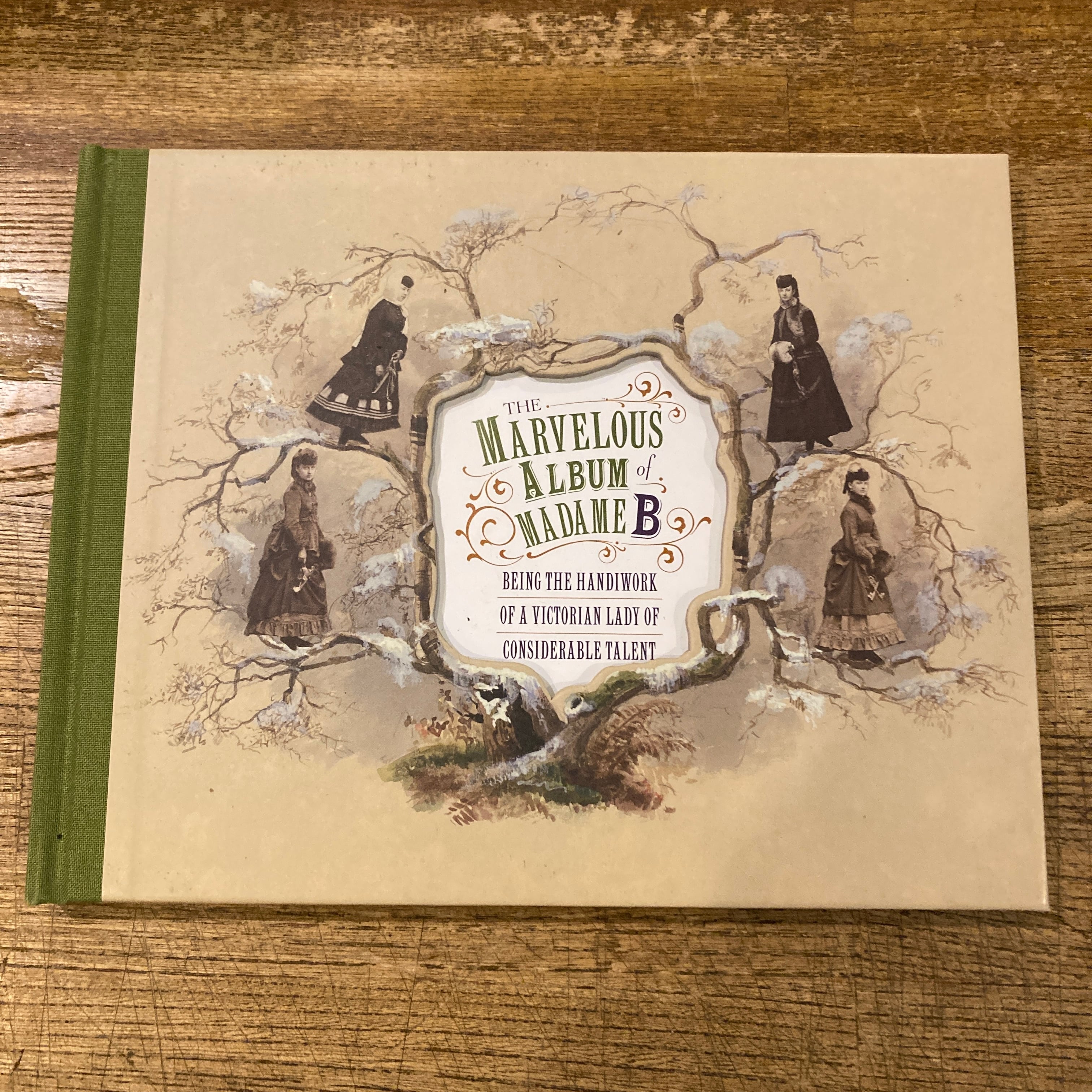 希少 ヨーロッパ ヴィンテージ 洋書 漫画 アートブック セット ペーパーバック The Marvelous Album Madame B: Being the Handiwork of a Victorian