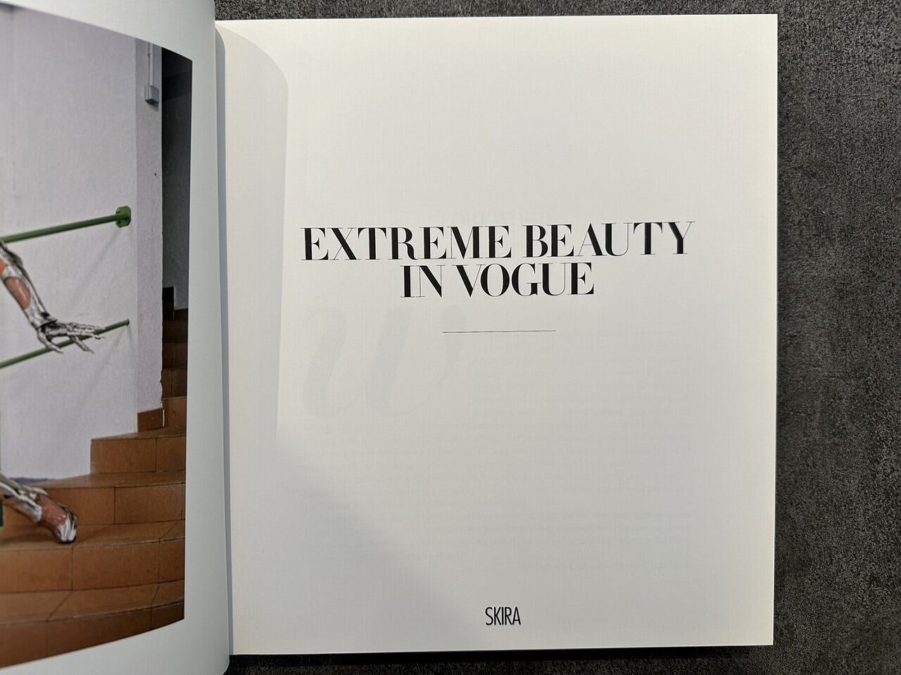 本 美品 EXTREME BEAUTY IN VOGUE ドルチェ＆ガッバーナ