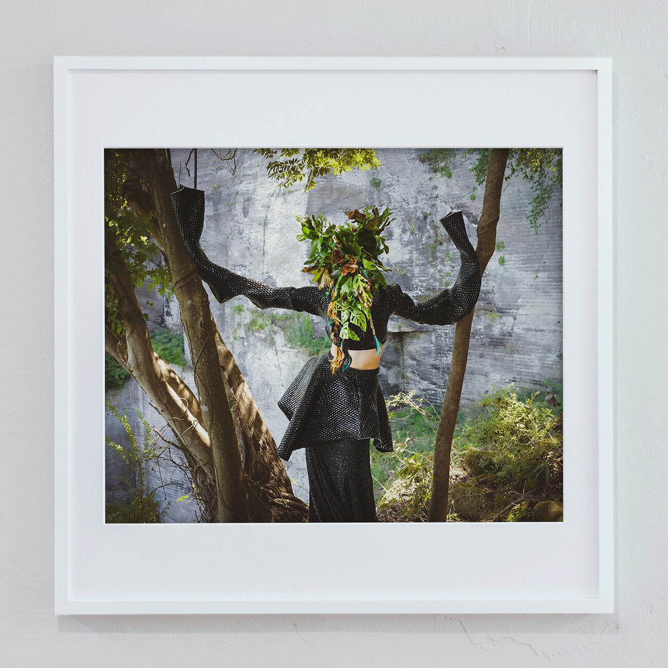 Art 【 "Cell in the forest " 】