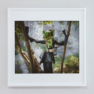 Art 【 "Cell in the forest " 】