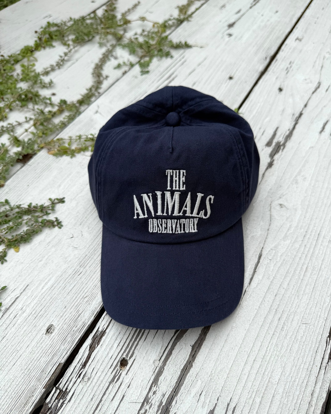 【THE ANIMALS OBSERVATORY GOODS】HAMSTER CAP