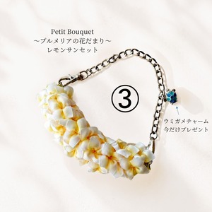 New!【キット】Plumeria*Petit_Charm（プレゼント企画）