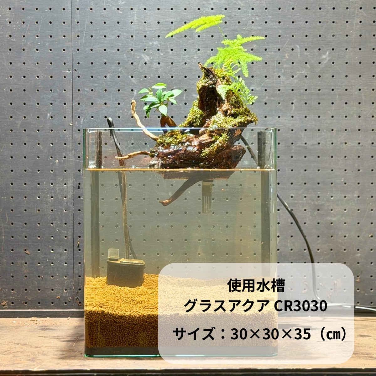 アクアテラリウム ガジュマル付き浮根～fune～【104】｜水槽に