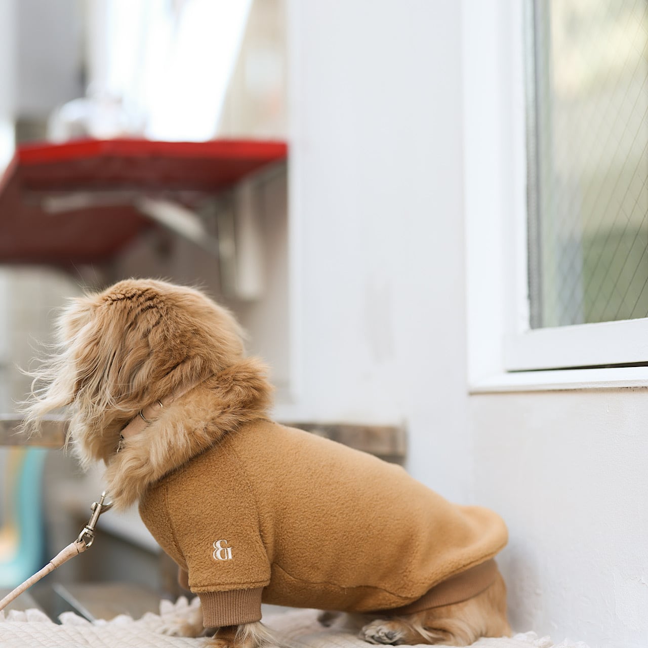 ラグランフリース | カニンヘンダックスとミニチュアダックス専門のお