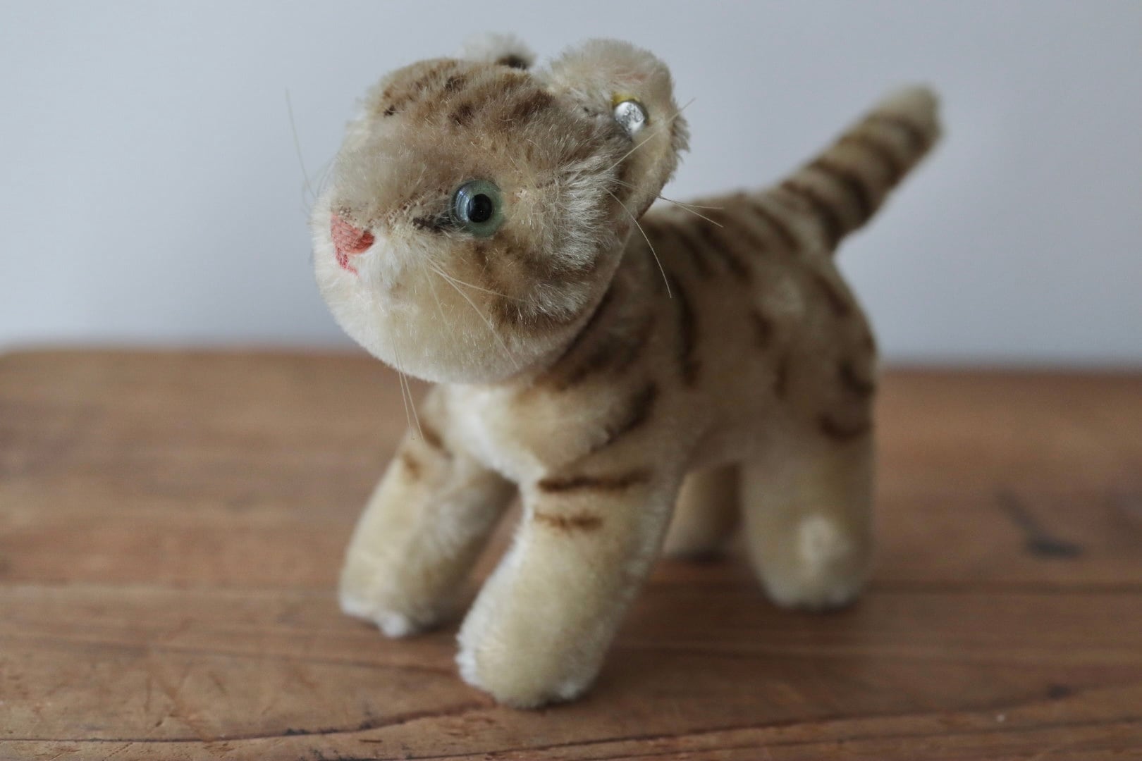 アンティーク シュタイフ ねこ Tapsy 11㎝