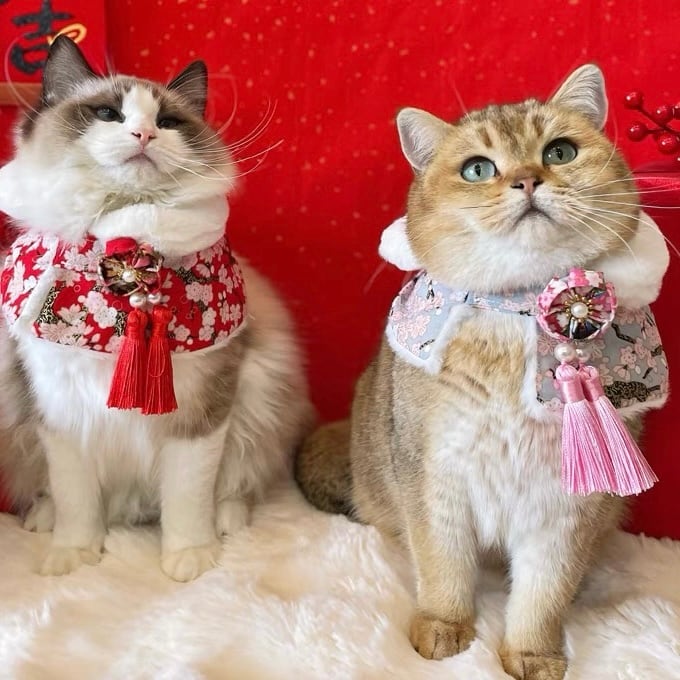 和風ボアケープ 猫 付け襟 お正月 着物 | Pay ID