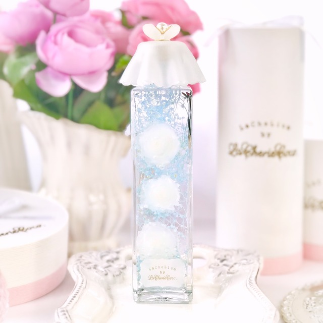 LaCheLium┊Angel Rose