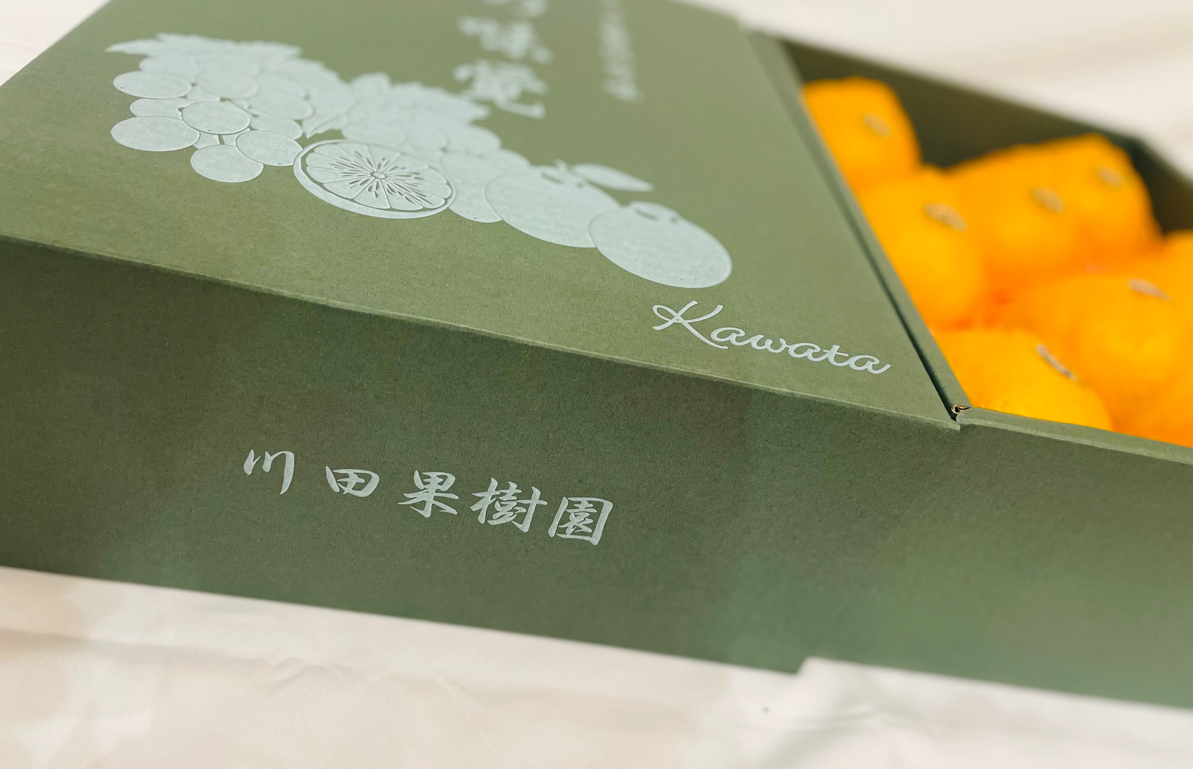 ハウスデコポン（不知火） 3キロ 9玉 | 川田果樹園 ～Vitalityのある