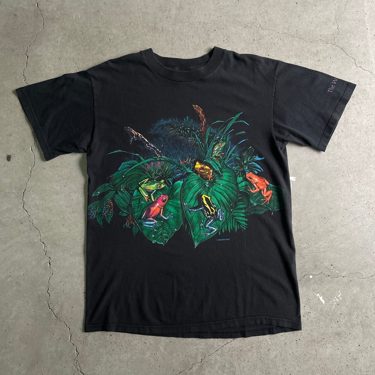 90年代 カエル 両面プリント Tシャツ メンズL 古着 バックプリント 90s