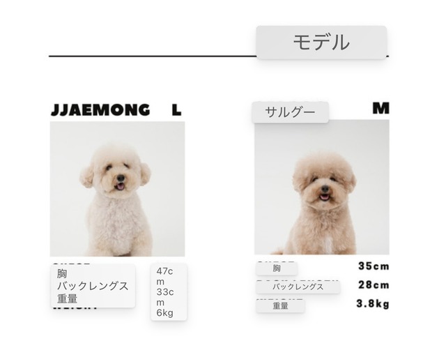 【1～2営業日発送】綿コットン100％のボーダーロンT　(NAVY)