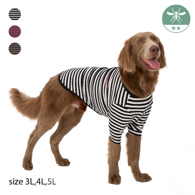 BORDER T-SHIRT（3L,4L,5L）ボーダーTシャツ