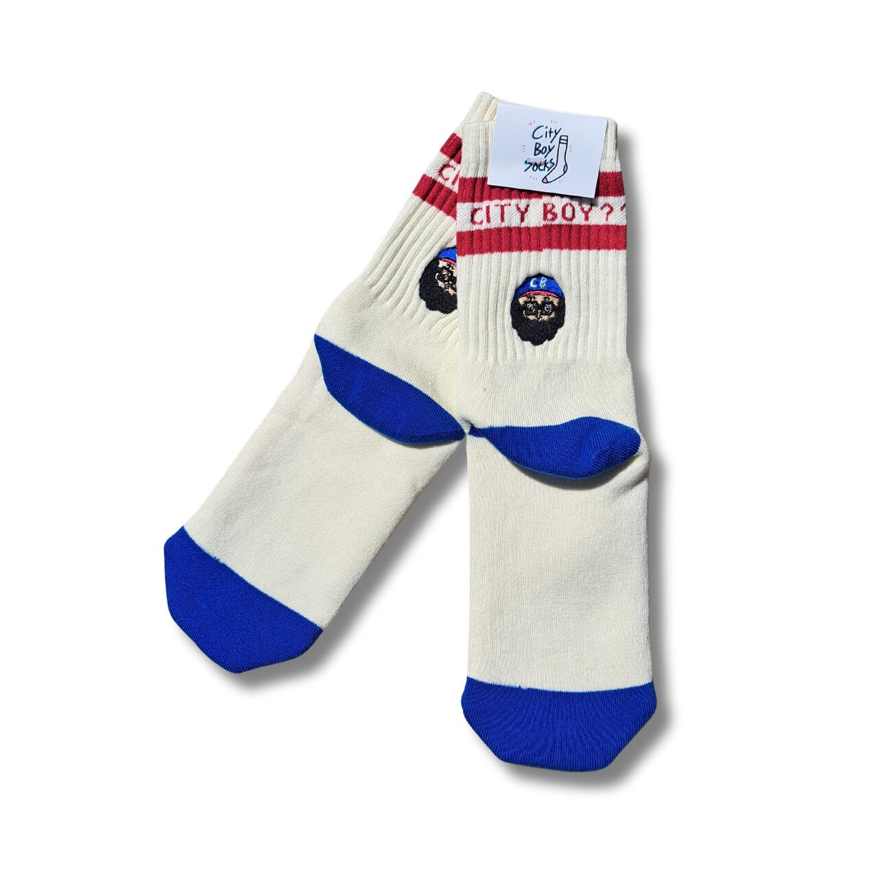 CHI-BEE are you cityboy? socks (トリコロール)