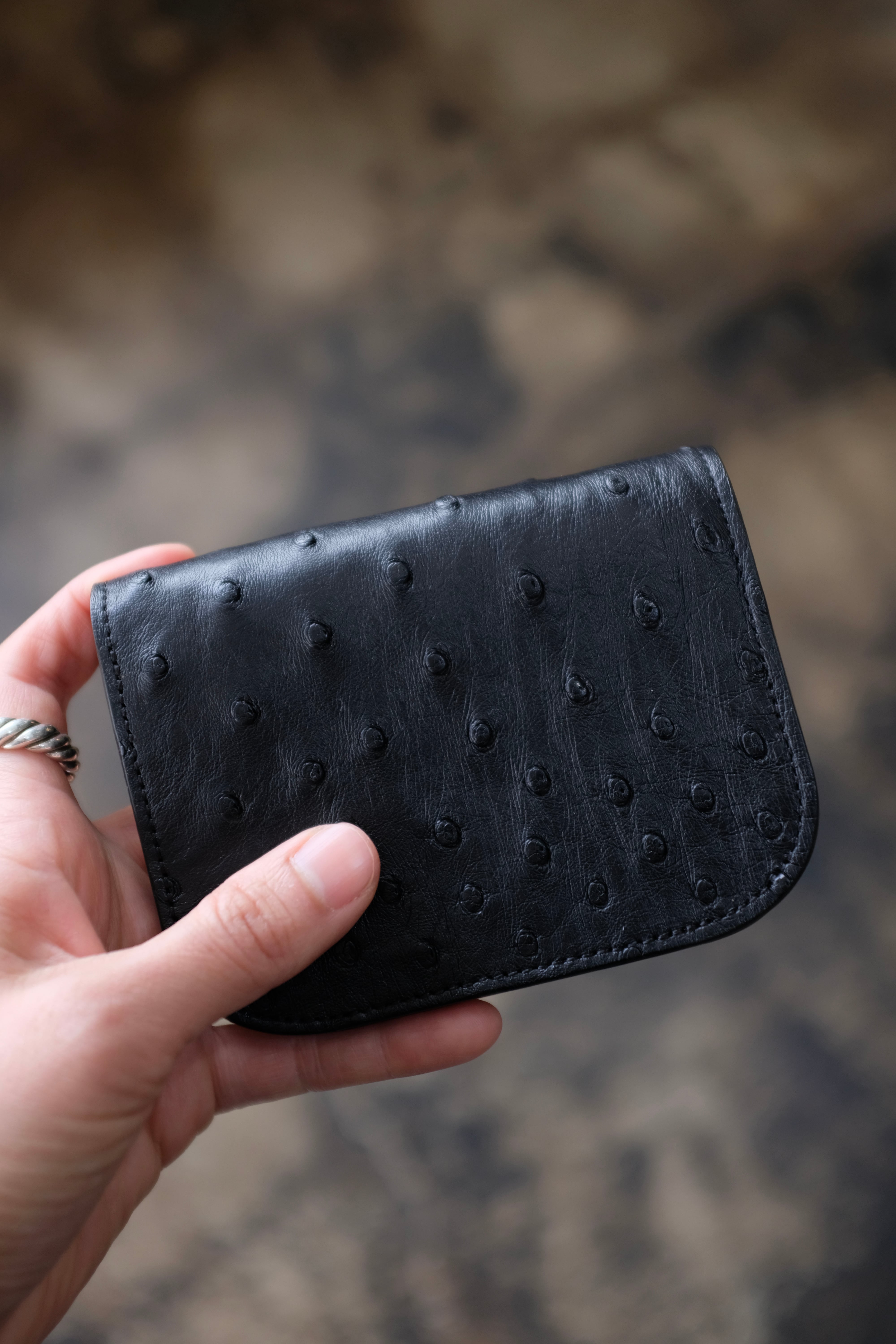 BISOWN]BOAT WALLET OSTRICH | YES-姫路の美容院と服のお店YES(イエス