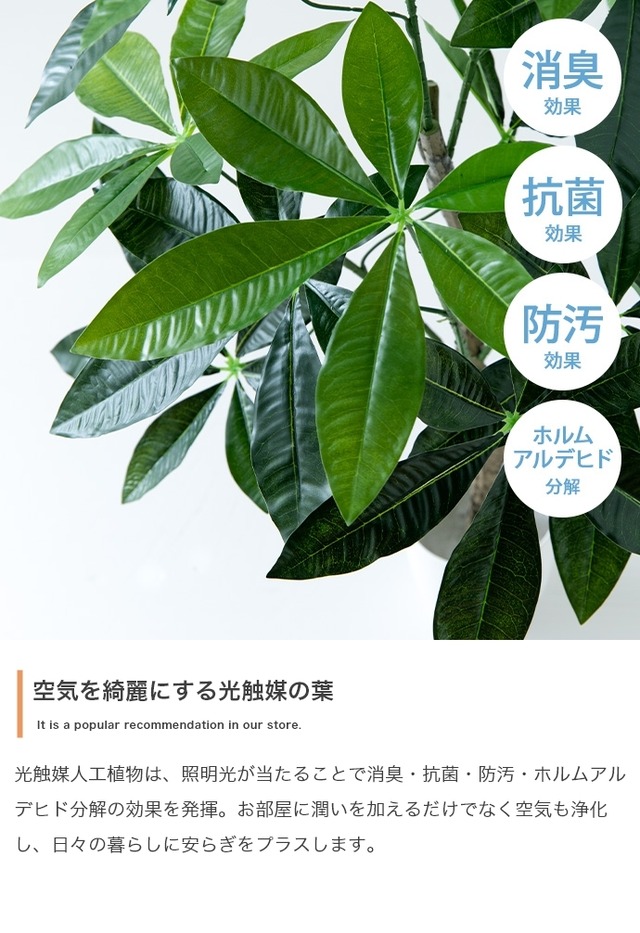 光触媒人工観葉植物　オリーブ【高さ125cm】