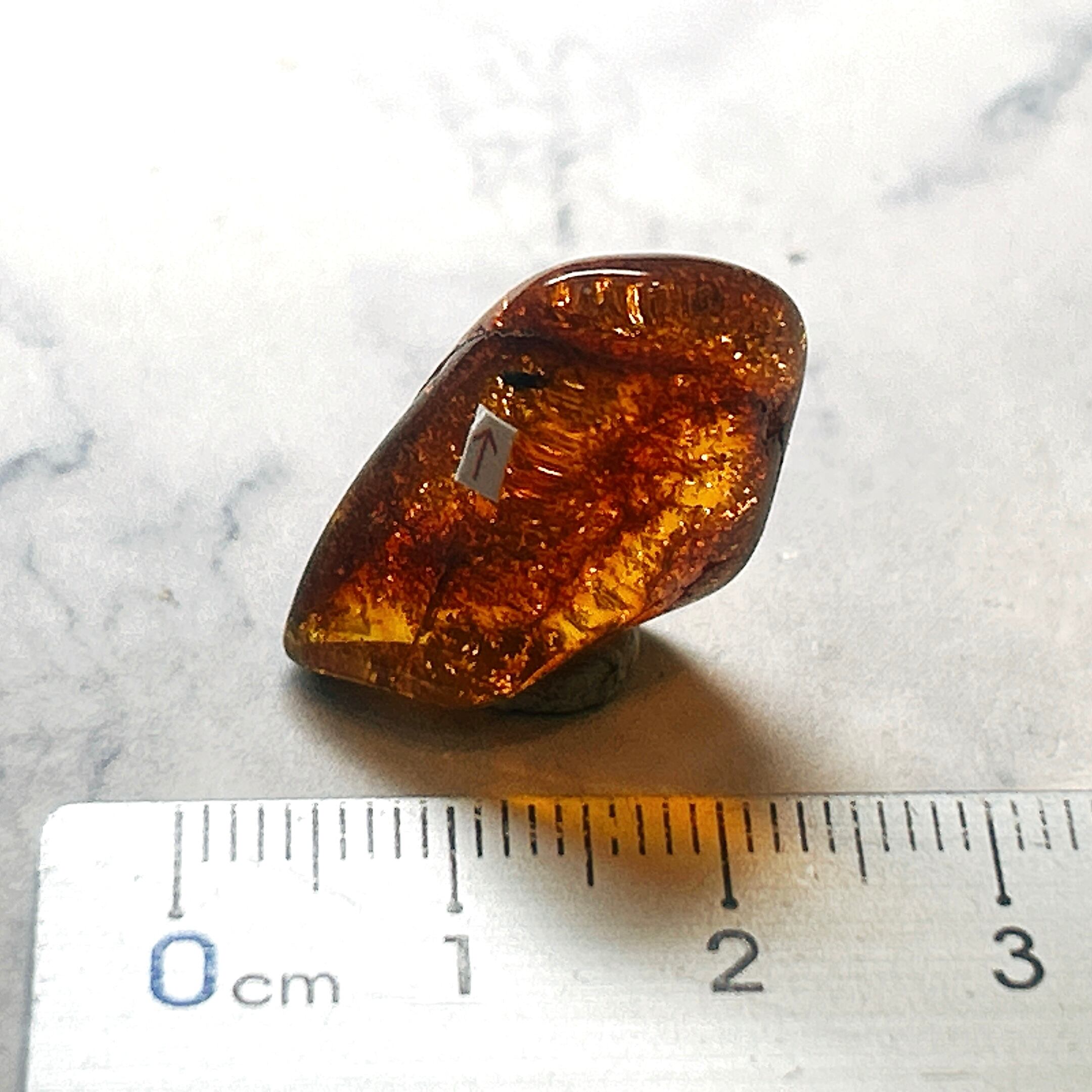 E19312】 虫入り琥珀 虫入り 琥珀 こはく コハク 化石 虫入りコハク