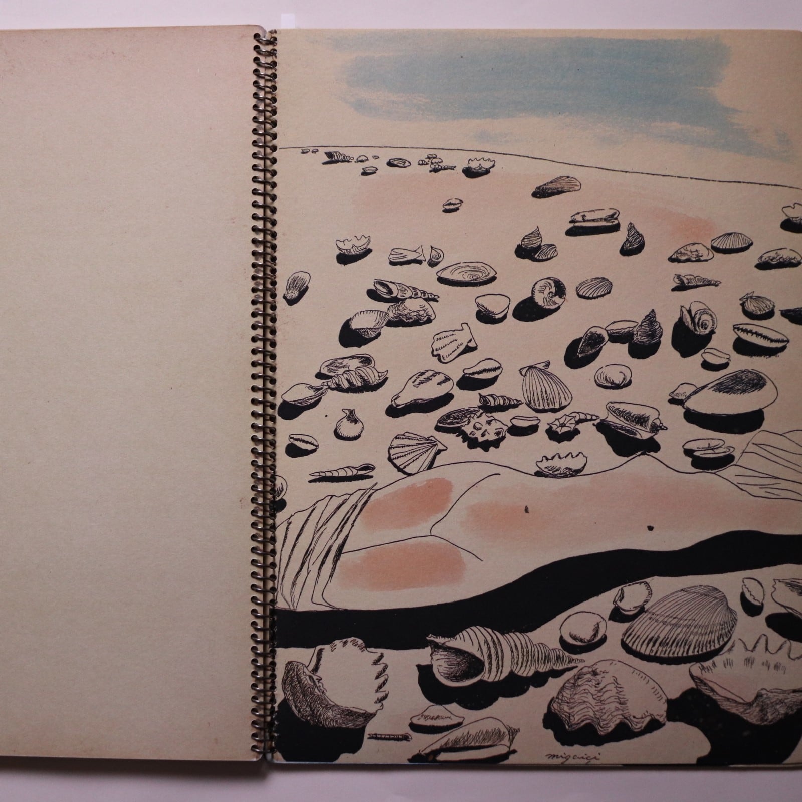 希少☆三岸好太郎筆彩素描集 蝶と貝殻 復刻版 北海道立三岸好太郎