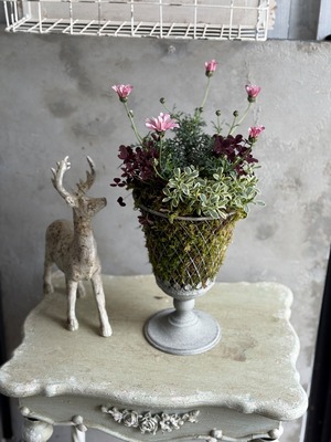 F山さま専用:ワイヤー鳥篭　ミニバラ他