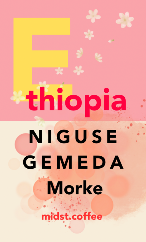 エチオピア　ニグセ　ゲメダ　モルケ　ナチュラル　100g 浅煎り