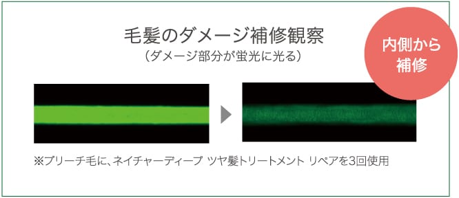 ネイチャーディープ ツヤ髪シャンプー リペア 1000ml [新商品