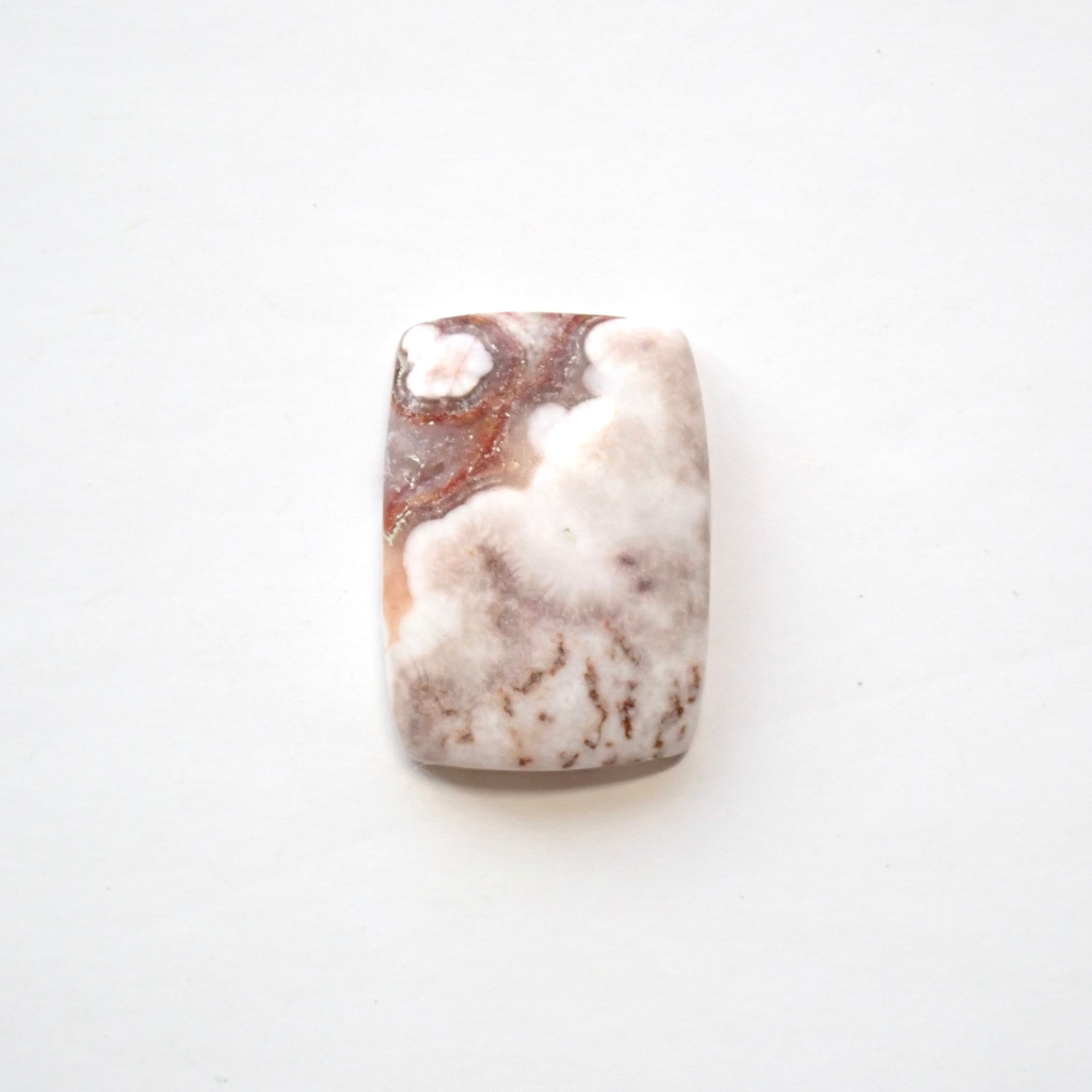 ロゼッタジャスパー 01