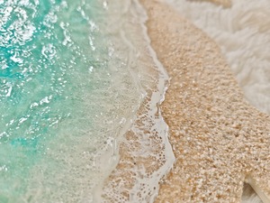 492.オーシャンレジンアート ホヌ型正面パネル(波紋アート)