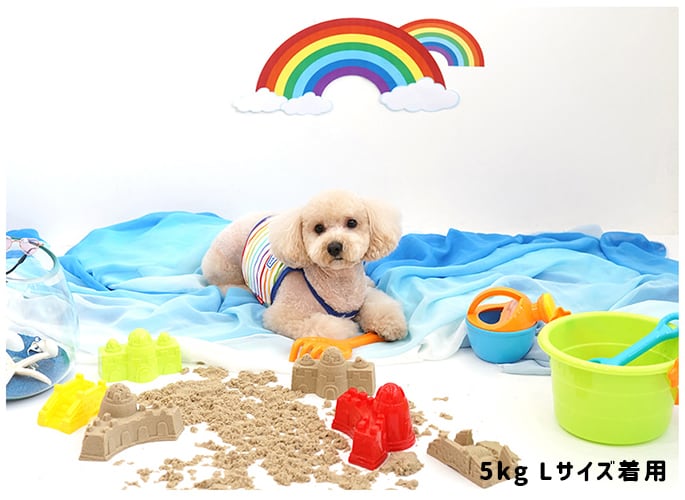 【SALE】rainbow croptop S ~ XL 2color / 犬の服 犬服 新作 ショート丈 お揃い クロップドトップス 小型犬 中型犬 ペット洋服 ドッグウェア ペット用品 top110