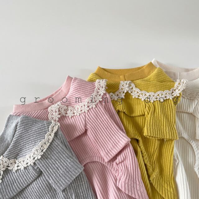 《予約》GD0012 リブレーストップス