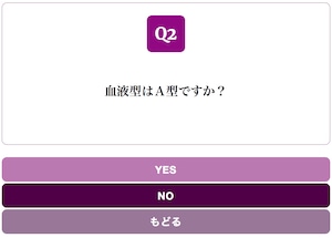 Yes/No Chart PURPLE スタイル