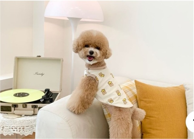 予約  【pecoramou select】Plump Bear T-Shirt Sleeveless（Ivory）