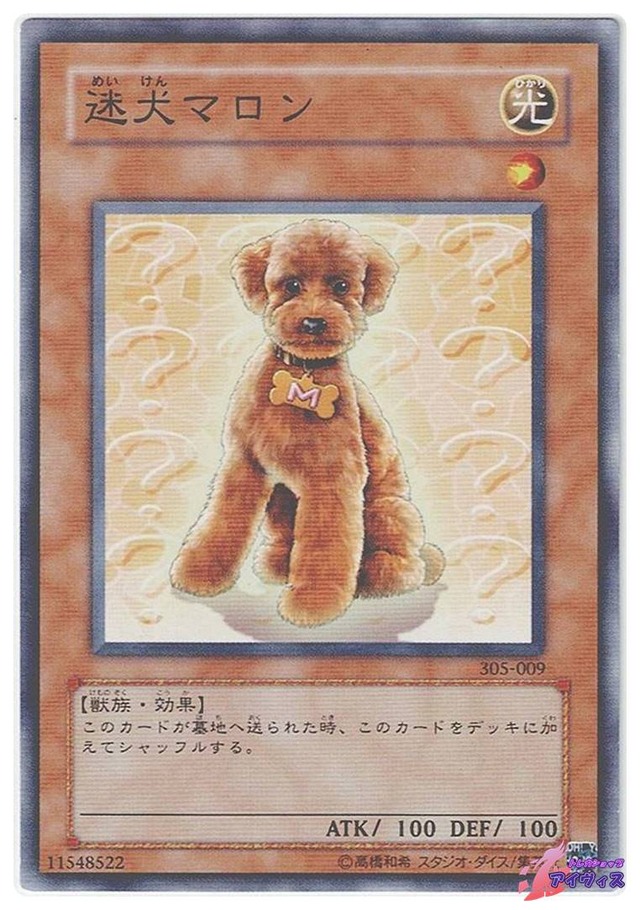 迷犬マロン　[ノーレア] [ランクC] [305-009] [遊戯王]
