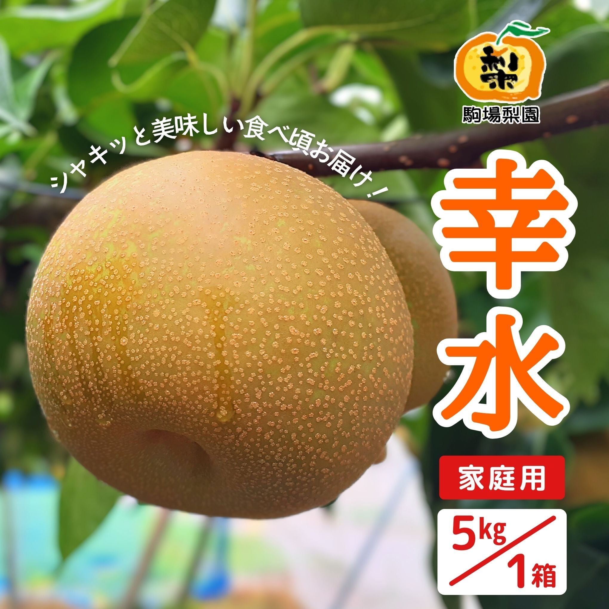 幸水 5Kg 家庭用 | 駒場梨園｜産直通販「あるよ」応援プロジェクト