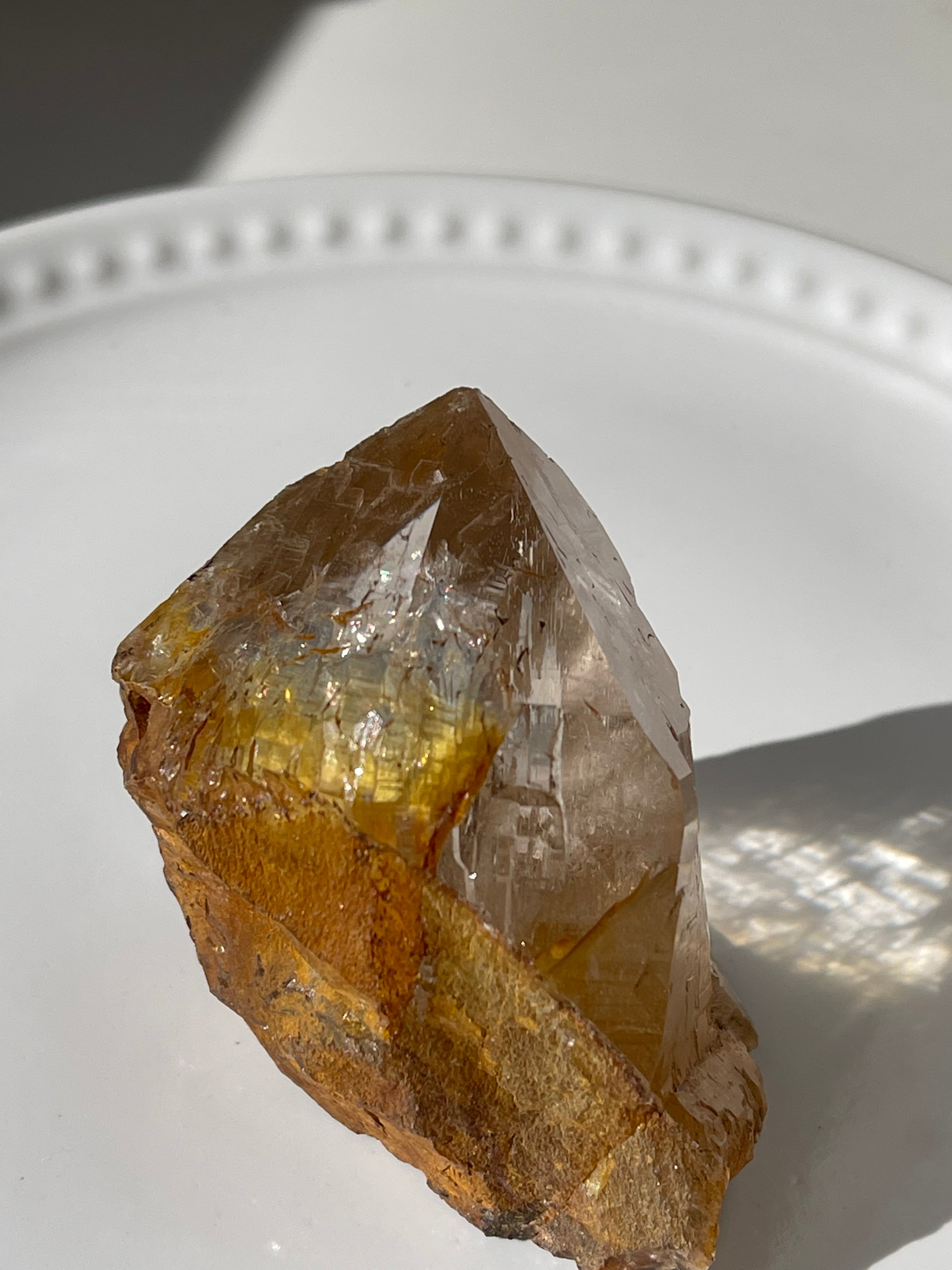 Ganesh Himar Golden Healer / ガネーシュヒマールゴールデンヒーラー