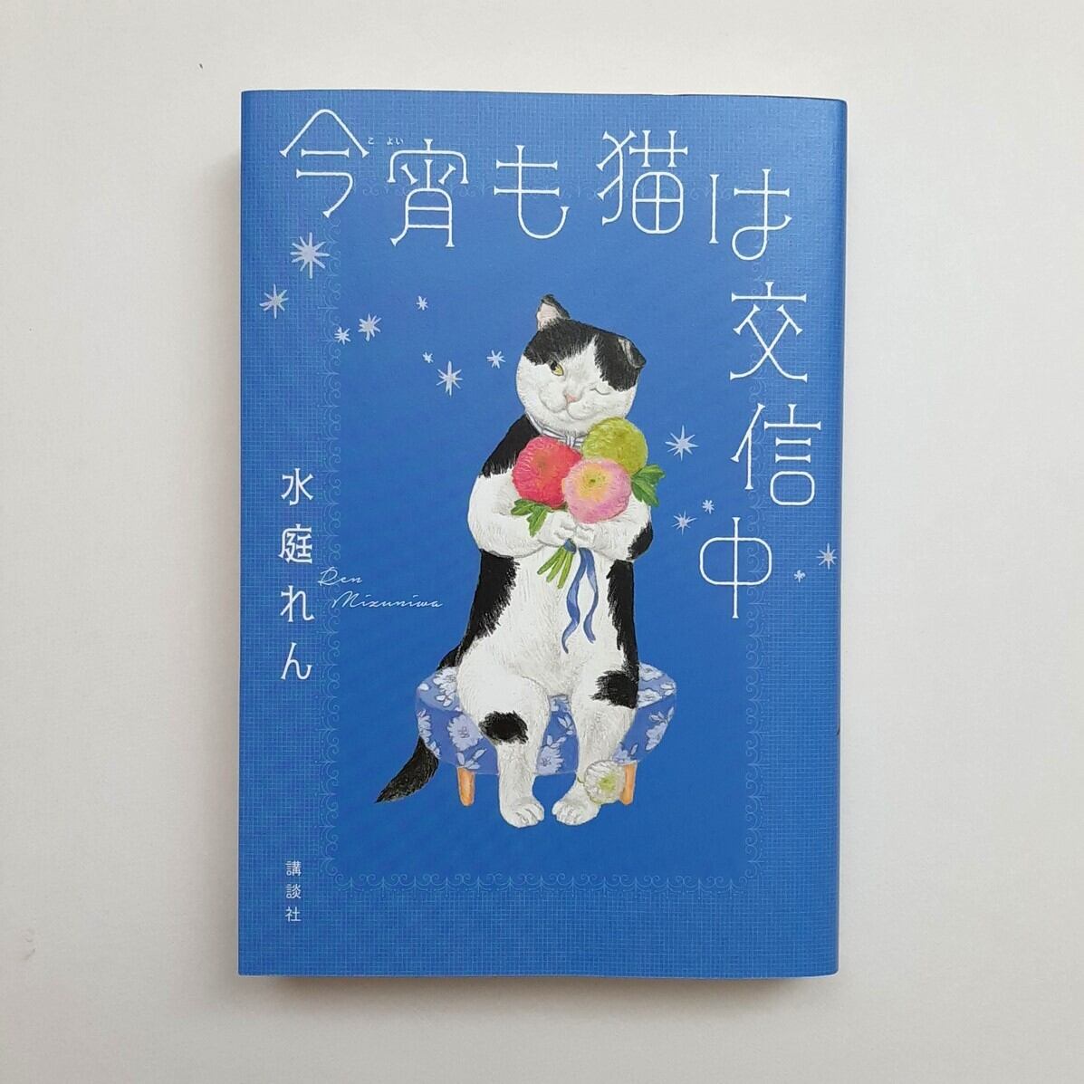 今宵も猫は交信中 | ねこのみち