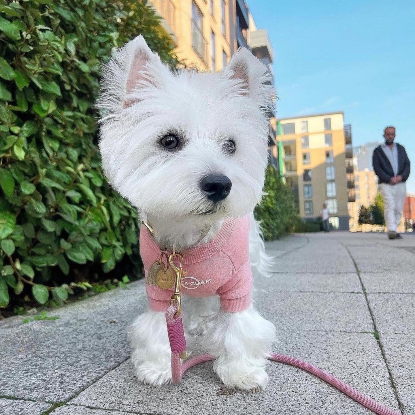 即納 THIN SWEATER WITH OVERGLAM STAMP / OVER GLAM