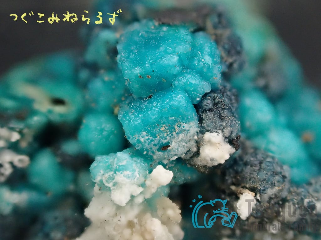 最終値下げ 希少レア 高品質 アズライト クリソコラ マラカイト 共生