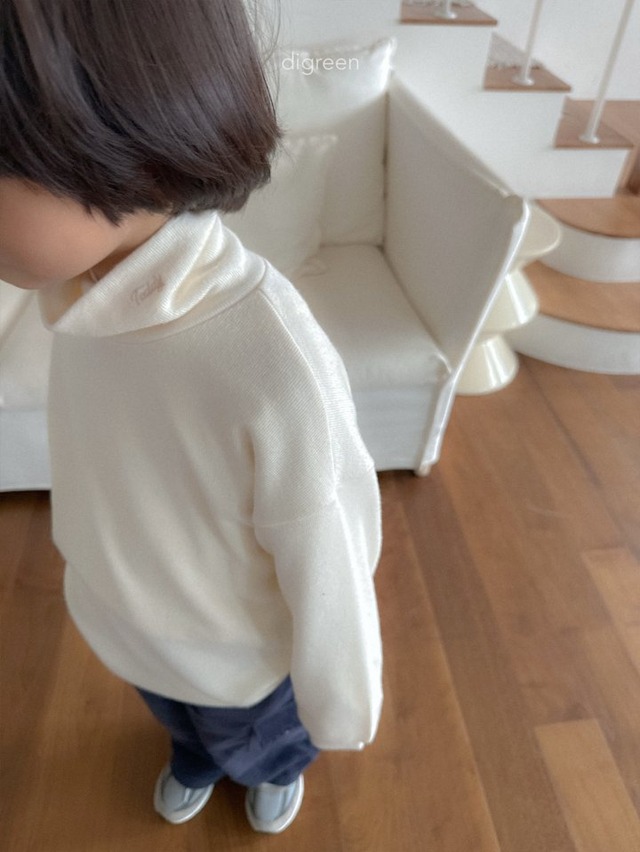 digreen25wn_Teddy Turtleneck