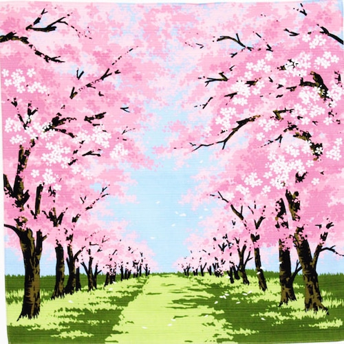 【桜】シャンタン　桜並木　ブルー