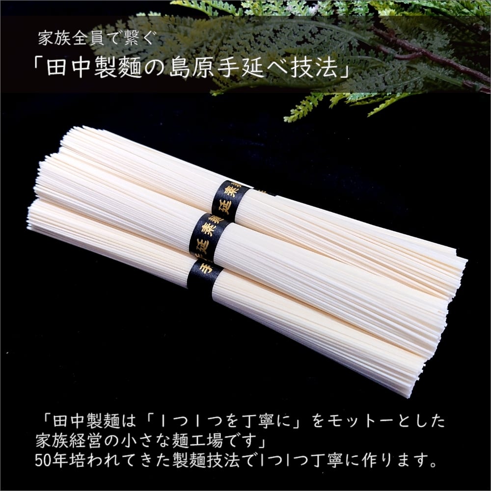 島原手延べ そうめん うどん なごみ 食べ比べセット 50g×10束 計 500g
