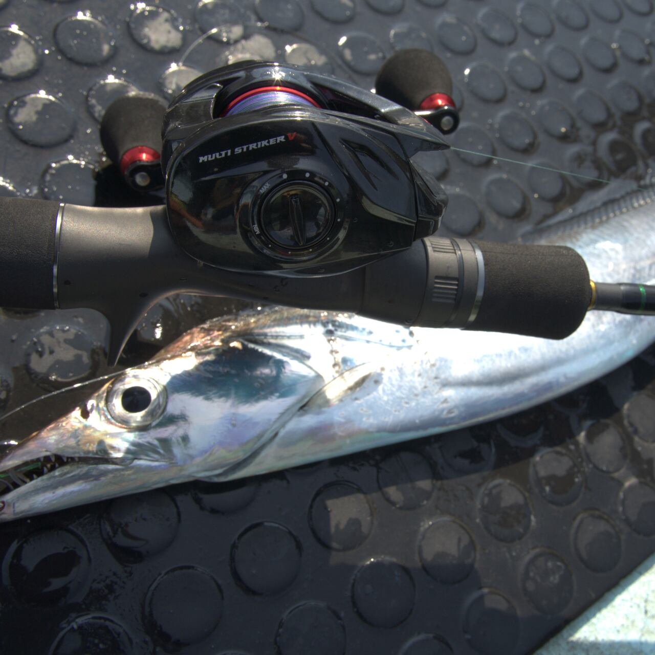 1/6~順次発送)MULTI STRIKER V （マルチストライカー ブイ） MSV-101A