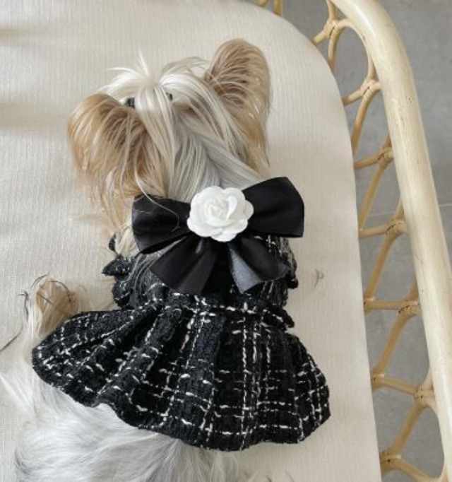 《予約》3101336 デザイナーズブラックローズハーネス