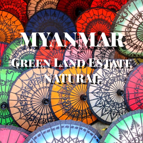 ミャンマー グリーンランド ナチュラル  /  MYANMAR GreenLand Natural  【150g】【中煎り】